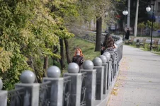 PAP_6574_.webp