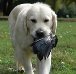 натаска сентябрь2010 032.jpg