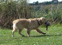 натаска сентябрь2010 552.jpg