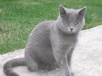 01 019.webp
