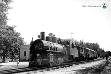 hark31.webp
