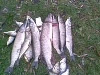 10102010 (2).webp