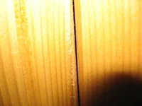 IMG_0050.jpg