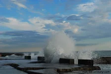 DSC_2211+_новый размер.webp