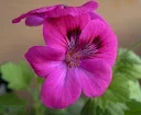 P3310226_1.webp