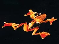 95b1170015ecb05daec5763165c8b4be.webp