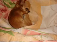 DSC03839.webp