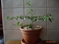 IMG_0575.webp