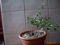 IMG_0578.webp