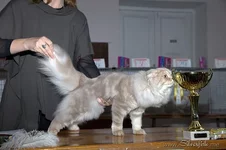 IMG_0105_500.webp