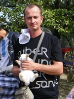  поле.webp