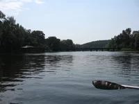 .webp