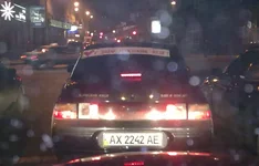 s_dnem_rogdenya_ulya.webp