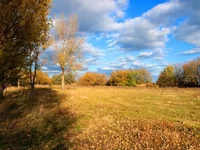 PA143096.webp