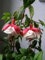 PA100015 - копия.webp