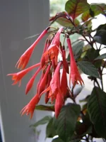 PA100020 - копия.webp