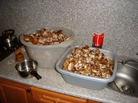 DSC05949_.JPG