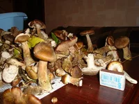 DSC05964_.JPG
