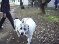 IMGP4618.webp