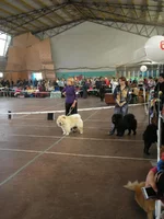 P1010082.webp