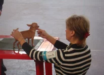 564.jpg
