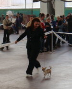 DSC03706.JPG