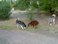 080920101130.webp