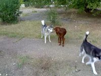 080920101131.webp