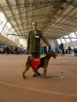 PA170636.webp
