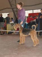 PA170747.webp