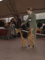 PA170759.webp