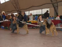 PA170764.webp
