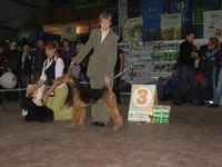 PA170790.webp