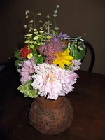 IMG_7042.webp