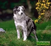 image003.webp