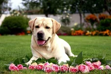 _mgl4360_20090914_1940065920.webp