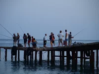 P70631581.webp