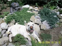 b98ffc5013db.webp