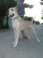 2bd9a4726a9a.webp