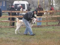  перед боем в Одессе.webp