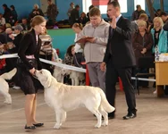  17.10 Харьков 155.webp