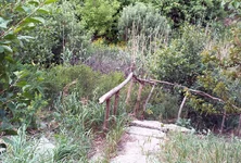 PIC_0385.webp