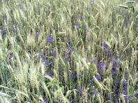 PIC_0624.webp