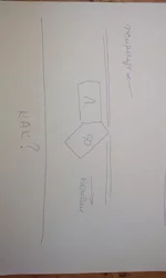 IMAG0152.webp