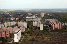 IMG_3380_2.webp