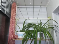  094.webp