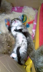 IMAG0082.webp