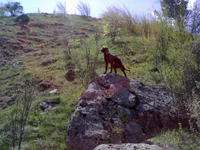03052010997.webp