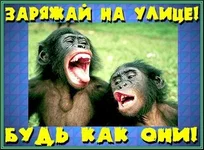 543896d949.webp