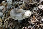 DSC_0563.jpg